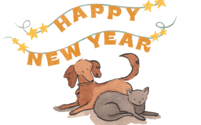 Bezpieczny Sylwester z psem